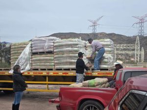 Entrega Desarrollo Social primer apoyo de cemento del año a familias nacozarenses